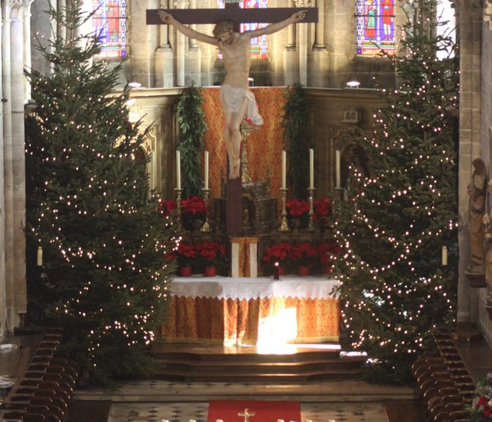Noel_2021_15